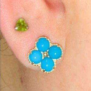 ❤️Turquoise Earing